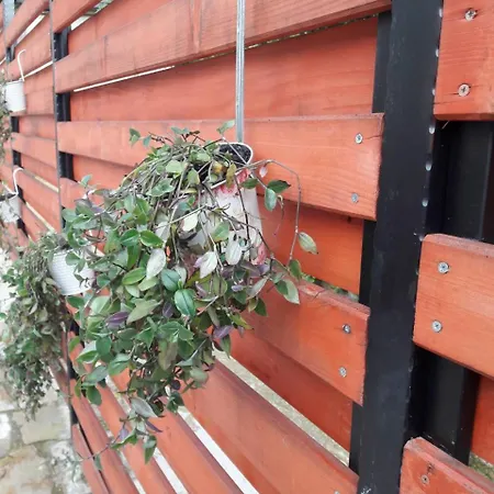 Appartamento My Way *